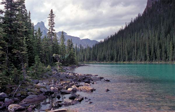 Peaceful