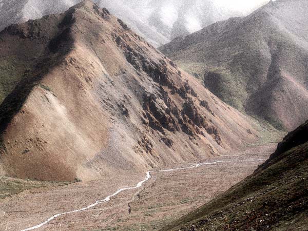 Denali Backcountry