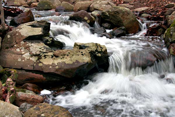 Flowing Brook