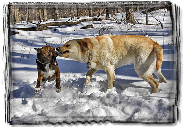 Riley and Petey