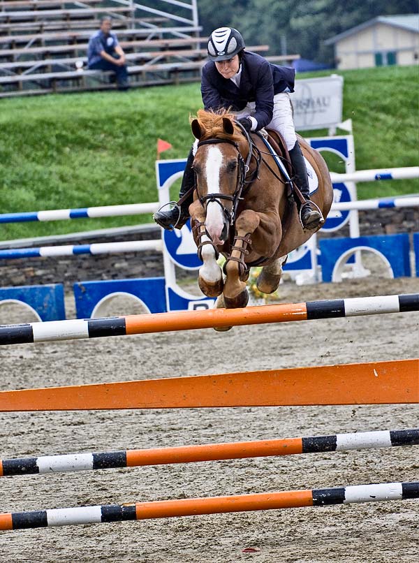 Horse Show #2