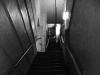 The Sublet Experiment
