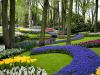 Keukenhof Gardens