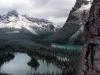 Overlooking Lake O'Hara
