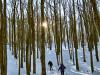 Winter #3