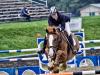 Horse Show #2