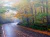 Fog