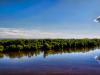 Loire River Reflection