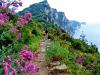 Trail