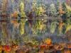 Fall Reflection