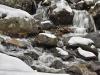 Snow in the Brook
