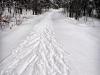 Tracks