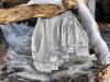 Ice Sculpture