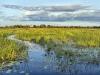 The Okavango Delta