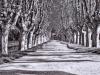 In Arles